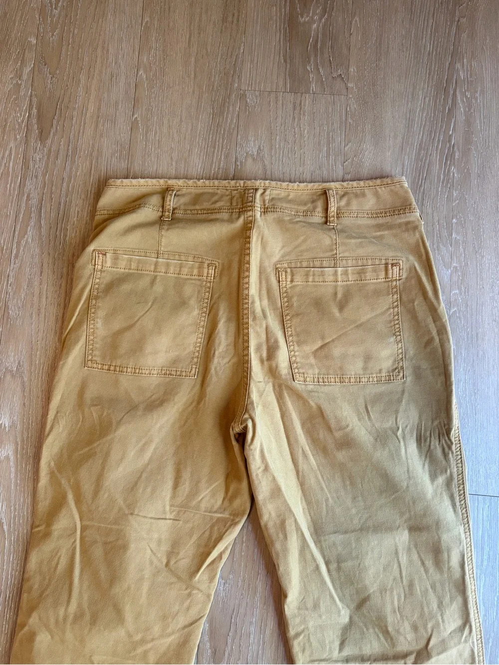 Anthropologie The Wanderer Tan Cargo Pants